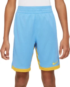Nike Boys' Trophy Training Shorts