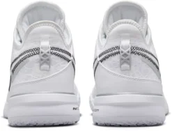 Nike LeBron NXXT Gen Basketball Shoes -Basketball Style Shop DR8784101 DR8784784 WhiteMetallicSilve BCK